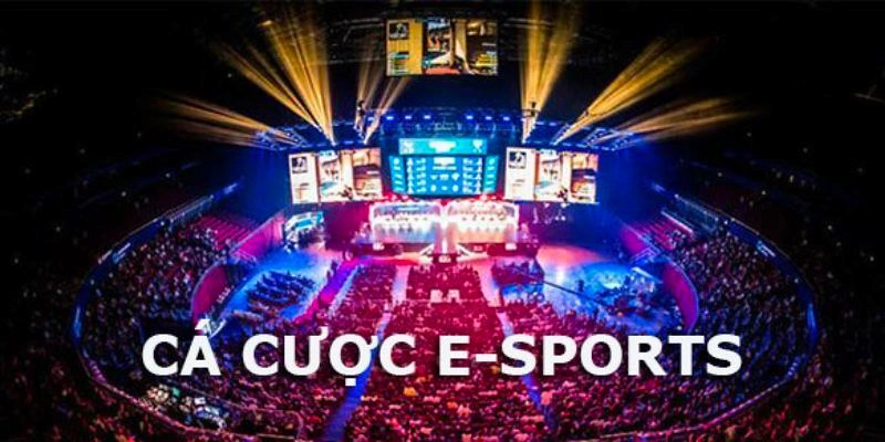 Cách chơi và đặt cược trên Esport 8xbet