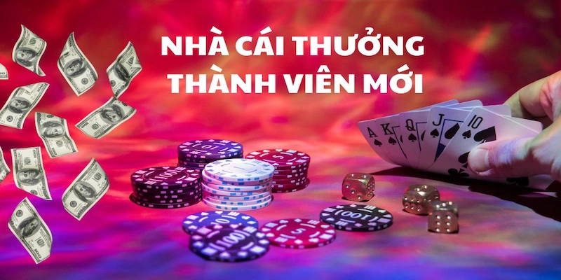 Khuyến mãi 8XBET Khuyến Mãi 8XBET Dành Cho Thành Viên Mới