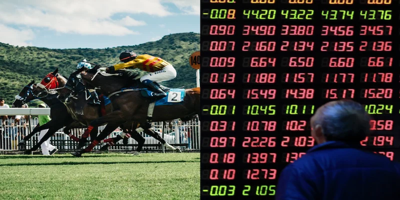 Cá cược đua ngựa 8xbet